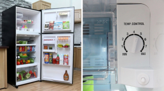 Tủ lạnh có một nút nhỏ, mùa đông cứ chỉnh nó là tiết kiệm kha khá tiền điện