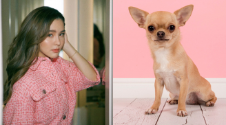 7 ngày cuối tháng 12 Dương lịch: 4 tuổi đạp trúng hố vàng, tiền bạc lên hương, rảnh rang đón Tết