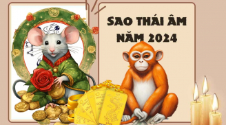 Sao Thái Âm chiếu mệnh: 3 tuổi thu lộc giàu sang, 1 tuổi hưởng đời phú quý năm 2024