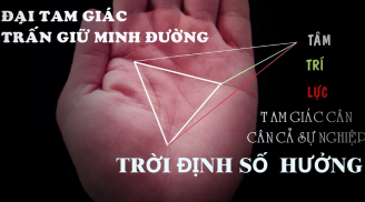 Thầy tướng số bảo: Nếu có hình tam giác trên tay thì giàu đến chín mươi chín, bạn có không?