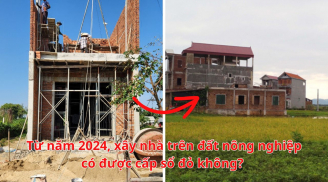 Từ năm 2024, xây nhà trên đất nông nghiệp có được cấp sổ đỏ không?