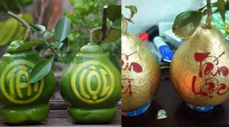 Có nên mua bưởi và các trái cây mạ vàng, khắc chữ, hình thù độc lạ thắp hương không?