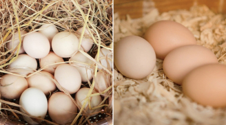 Không cần tủ lạnh, bảo quản trứng theo cách này, trứng để cả tháng vẫn tươi ngon như mới