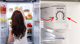 Tủ lạnh có 1 nút nhỏ bật lên là tiết kiệm cả triệu tiền điện: Rất nhiều người không biết