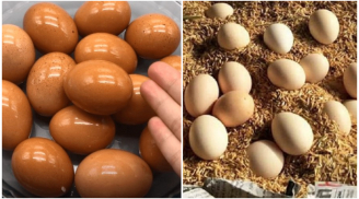 Mua trứng về đừng vội bỏ ngay vào tủ lạnh: Học theo nông dân Nhật Bản để cả năm cũng không lo hỏng
