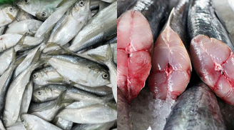 4 loại cá biển tốt nhất nên ăn mỗi tuần, đi chợ đừng tiếc tiền mua vì bạn sẽ giảm được tiền mua thuốc