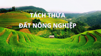 Năm 2024 đất nông nghiệp có diện tích bao nhiêu sẽ được tách thửa?