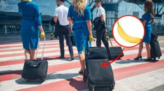 Vì sao hành lý của tiếp viên hàng không thường có thêm chuối? Thói quen tưởng vô tình hoá ra có nhiều tác dụng