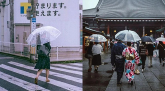 Vì sao người Nhật hay dùng ô cán dài hơn ô gấp? Nguyên nhân đằng sau hoá ra vì cử chỉ tinh tế này