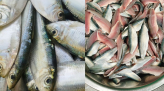 Cá này rẻ bằng 1/5 cá hồi nhưng omega-3 ngang nhau lại không sợ 'ngậm' thủy ngân, chợ Việt rất nhiều nhớ mua ngay