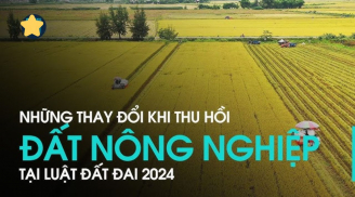 Kể từ tháng 2/2024: Đối tượng nào không được mua đất nông nghiệp?