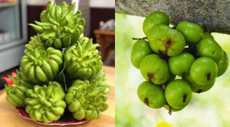 Những loại trái cây nên bày trên bàn thờ dịp Tết để năm mới lộc lá nhân đôi, làm gì cũng phát đạt