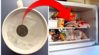 Vì sao người thông minh thường đặt một đồng tiền xu trong tủ lạnh trước mỗi kỳ nghỉ dài?