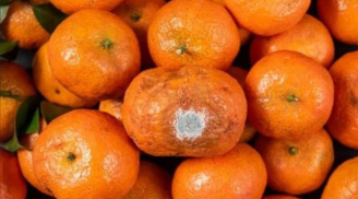 4 loại trái cây dễ 'đánh thức' tế bào ung thư, dù ngon đến mấy cũng không nên ăn