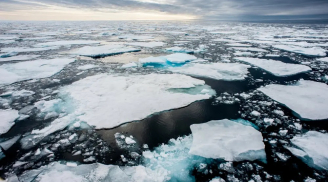 Nước biển mặn nhưng tại sao lớp băng trên mặt biển lại là nước ngọt?
