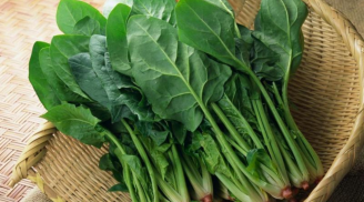 Lợi ích tuyệt vời của rau cải bó xôi với sức khỏe
