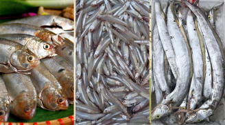 Loại cá tự nhiên, ít xương nhiều dinh dưỡng bổ ngang nhân sâm, tổ yến: Đi chợ thấy nên mua ngay kẻo hết