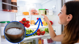 Người thông minh thường đặt một bát muối trong tủ lạnh: Có 2 công dụng quý nhà nào cũng thích
