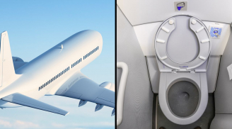 Vì sao tiếp viên hàng không thường khuyên hành khách làm ngay việc này khi dùng toilet trên máy bay?