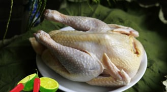 Phần thịt gà được xem là 'khoái khẩu' của nhiều người lại là bộ phận nguy hiểm cho sức khỏe,cẩn trọng khi ăn