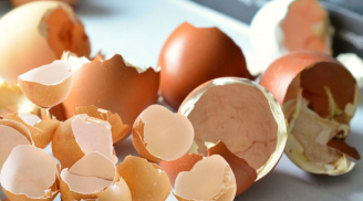 Vỏ trứng còn nhiều công dụng mà nhiều người chưa biết, đừng vứt bỏ hãy làm ngay cách này, vỏ trứng giúp tiết kiệm