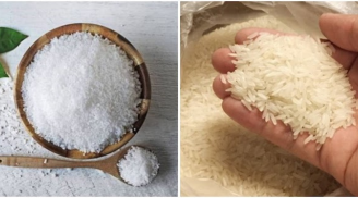 Để gạo quanh năm suốt tháng cũng không lo mối mọt nhờ 3 cách đơn giản dưới đây