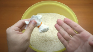 Trời nồm ẩm, bỏ ngay thứ này vào thùng gạo để gạo không bị hôi, mốc