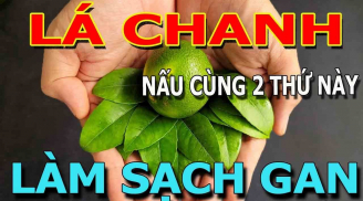 Loại lá làm mát gan, ở Việt Nam mọc đầy vườn, nước ngoài bán tiền triệu vẫn hết sạch