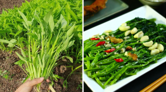 Loại rau ở Việt Nam giá rẻ bèo, bán đầy chợ: Sang Mỹ bán đắt hơn thịt giá 515.000 đồng/kg