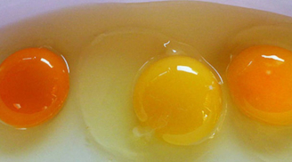 Lòng đỏ trứng gà màu càng đậm thì có giá trị dinh dưỡng càng cao?