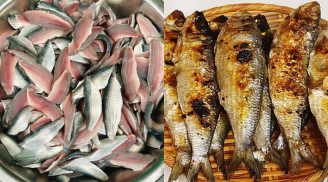 Từ loại ‘cá nhà nghèo’ nay trở thành đặc sản đắt khách ở thành phố, giá bán 100.000 đồng/kg