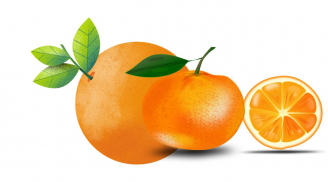 5 loại trái cây còn giàu vitamin C hơn quả cam nên chớ bỏ qua