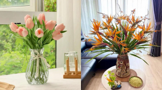 Thầy phong thuỷ dặn kỹ: Phòng khách dù to hay nhỏ cũng đừng đặt 4 loại cây hoa này kẻo 'hoa vượng người héo'