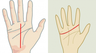 9 dấu hiệu trên lòng bàn tay cho thấy bạn là người thành công đến muộn, phát tài về hậu vận