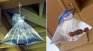 Tác dụng của việc treo túi nước ở cửa sổ, giải quyết vấn đề nhiều nhà gặp phải, nhất là vào mùa hè