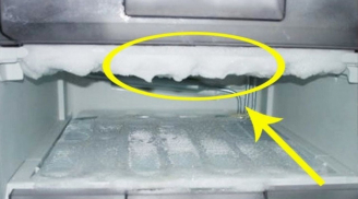 Người thông minh thường đặt một bát muối trong tủ lạnh, biết lý do, nhiều người tiếc vì giờ mới biết