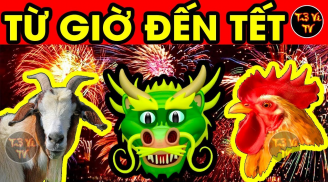 Từ tháng 5 âm tới Tết 2025: 3 tuổi tiền vào như nước, giàu có trên đỉnh, phú quý toàn tài