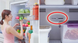 Trên tủ lạnh có một nút nhỏ giúp tiệm cả triệu tiền điện: Không biết quá phí, EVN cũng khuyên làm