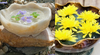 Bát nước thả hoa thu hút tài lộc giàu có nhưng phạm phải điều này thì lại nguy hại mà nhiều người không biết