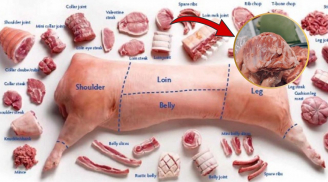 Con lợn có phần thịt duy nhất 2 lạng, quý ngang nhân sâm, ăn thỏa mái không gây béo phì