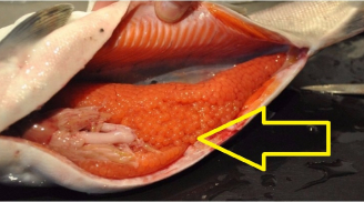 Ăn cá đừng chỉ chăm chăm ăn thịt: 3 bộ phận này đại bổ đừng bao giờ bỏ qua