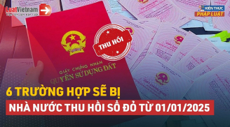 6 trường hợp sẽ bị Nhà nước thu hồi Sổ đỏ từ 01/01/2025: Người dân cần nắm rõ