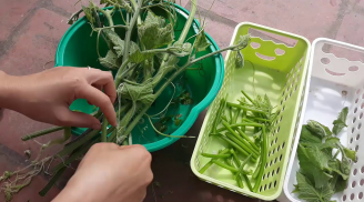 Mẹo tước ngọn rau bí vừa nhanh, vừa sạch