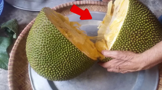 5 mẹo chọn mít chín cây thơm nức, múi to, ngọt lịm, không ngâm hóa chất