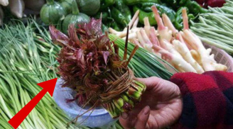 5 loại rau 'bổ hơn thịt, rẻ hơn thuốc', đi chợ mua về ăn thoả mái