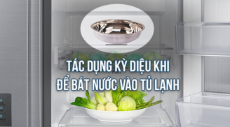 Đặt bát nước vào tủ lạnh qua đêm, không chỉ tiết kiệm điện mà còn có tác dụng bất ngờ