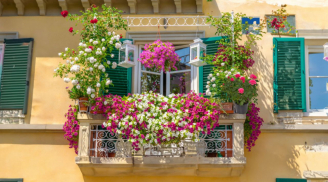 Dấu hiệu cho thấy nhà ở có phong thủy tốt, gia chủ ở càng lâu càng giàu, đừng bán kẻo tiếc