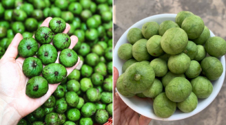 Bảo quản sấu theo cách này, để cả năm vẫn tươi ngon, không bị khô