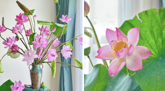 Bí quyết cắm hoa sen nở bung, không bị rụng cánh, cả tuần vẫn đẹp