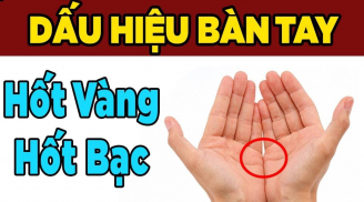 Bàn tay có đặc điểm giàu sang phú quý, 3 đời tiêu không hết của, đặc biệt số 2 rất hiếm gặp